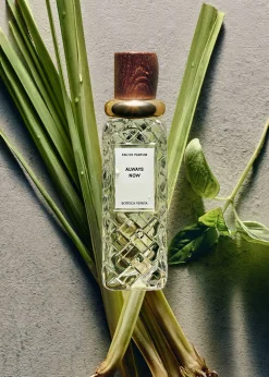 Bottega VenetaAlways Now Eau de Parfum, 1.6 oz.