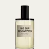 D.S. & DURGABig Sur Eucalyptus Eau De Parfum, 100 mL