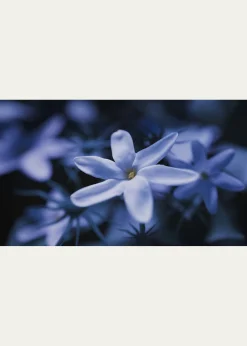 Ex NihiloBlue Talisman Extrait de Parfum, 3.4 oz.