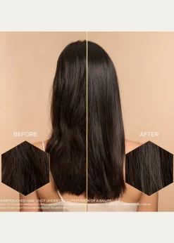 GuerlainLimited Edition Abeille Royale Scalp & Hair Youth Ritual Set ($170 Value!)
