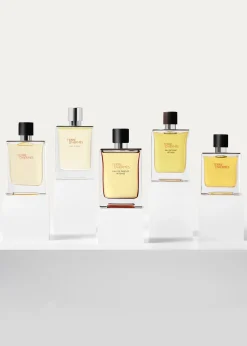 HermesTerre d’Hermes Eau Givree Eau de Parfum, 3.4 oz.