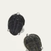 Jan LeslieMen's Delta Trilobite Cufflinks