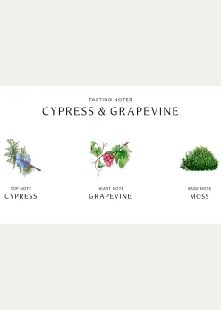 Jo Malone LondonCypress and Grapevine Cologne Intense, 3.4 oz.