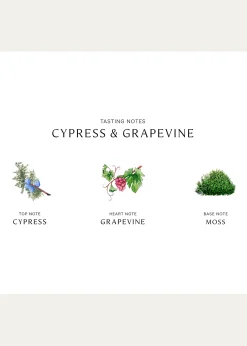Jo Malone LondonCypress and Grapevine Cologne Intense, 1.7 oz.
