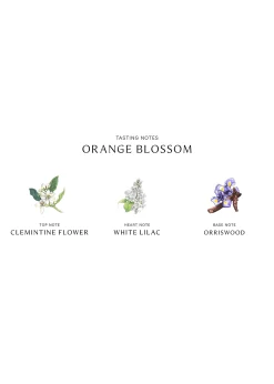 Jo Malone LondonOrange Blossom Cologne, 3.4 oz.