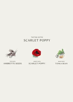 Jo Malone LondonScarlet Poppy Cologne Intense, 3.4 oz.
