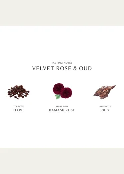 Jo Malone LondonVelvet Rose and Oud Cologne Intense, 1.7 oz.