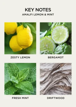 NEST New York10 oz. Amalfi Lemon and Mint Liquid Soap